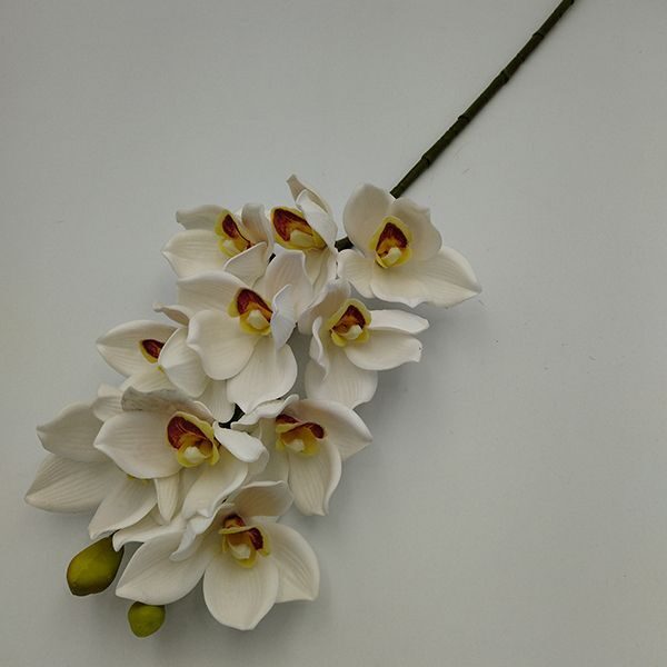 uj-egyagyas-gumi-orchidea-ag-feher-1