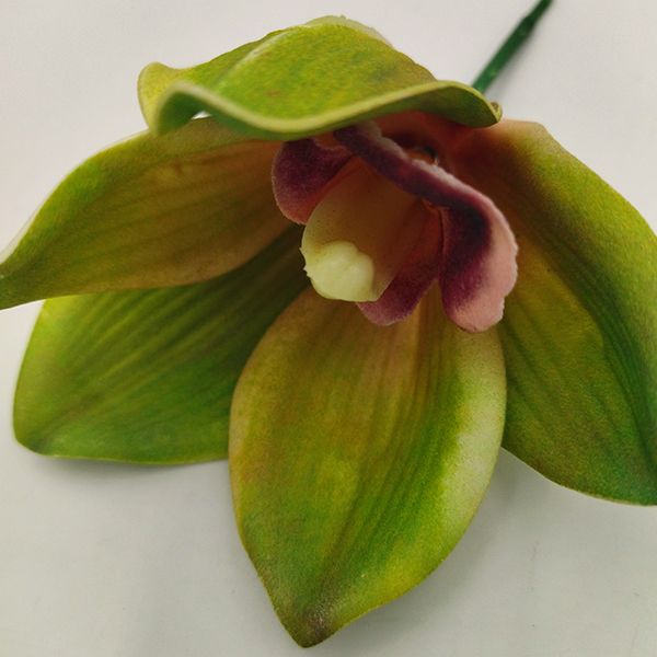 Orchidea virágfej